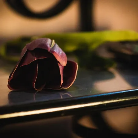 Savoia Couette-café San Salvo