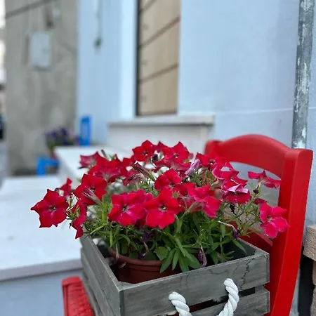 Savoia Nocleg ze śniadaniem