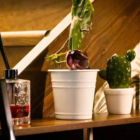 Savoia ベッド・アンド・ブレックファスト サン・サルヴォ