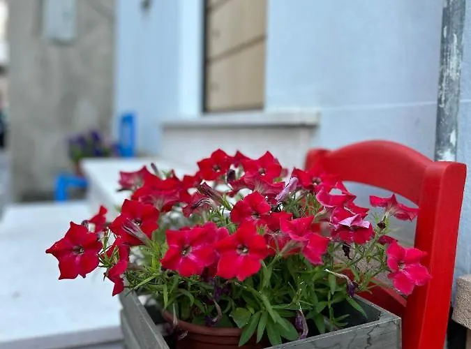 Savoia Bed & Breakfast