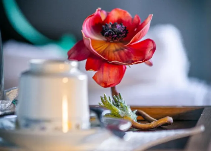 Savoia Bed & Breakfast 3*